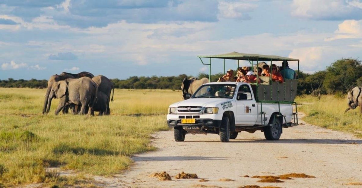 Etosha Parque Nacional  | LAT.40