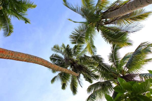 Toberua Island Resort en Fiji