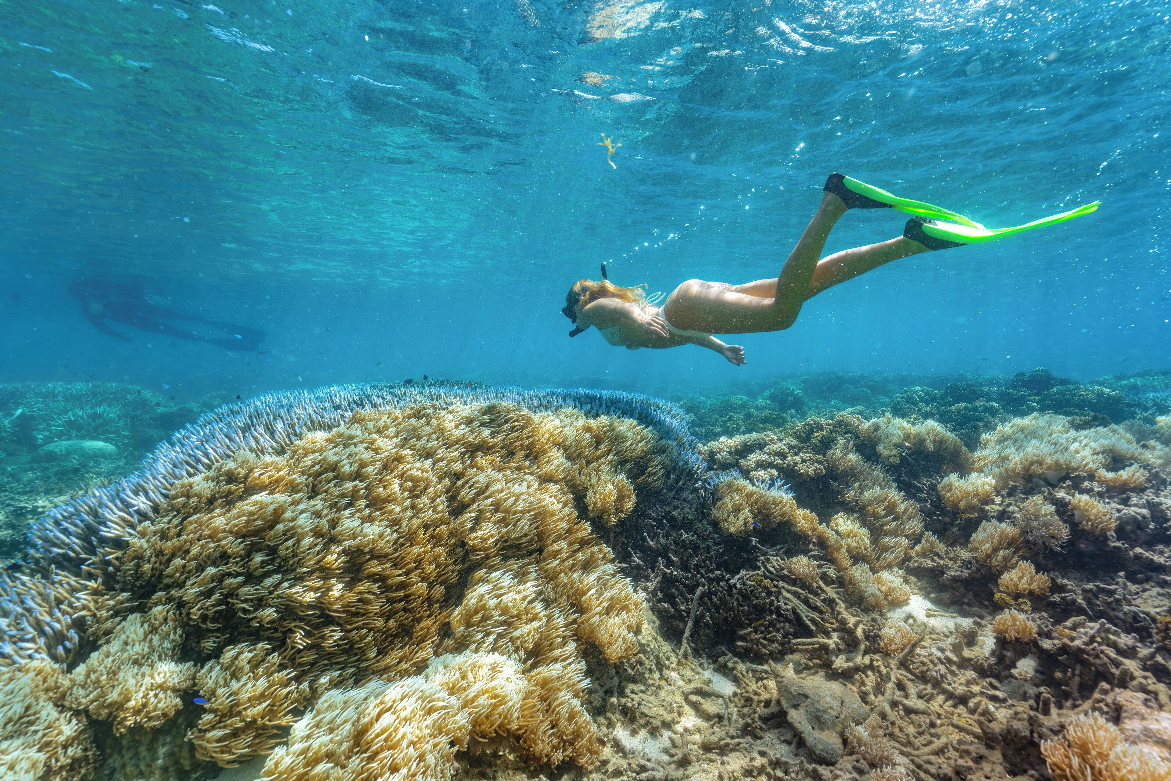 Wakaya Island Resort en Fiji