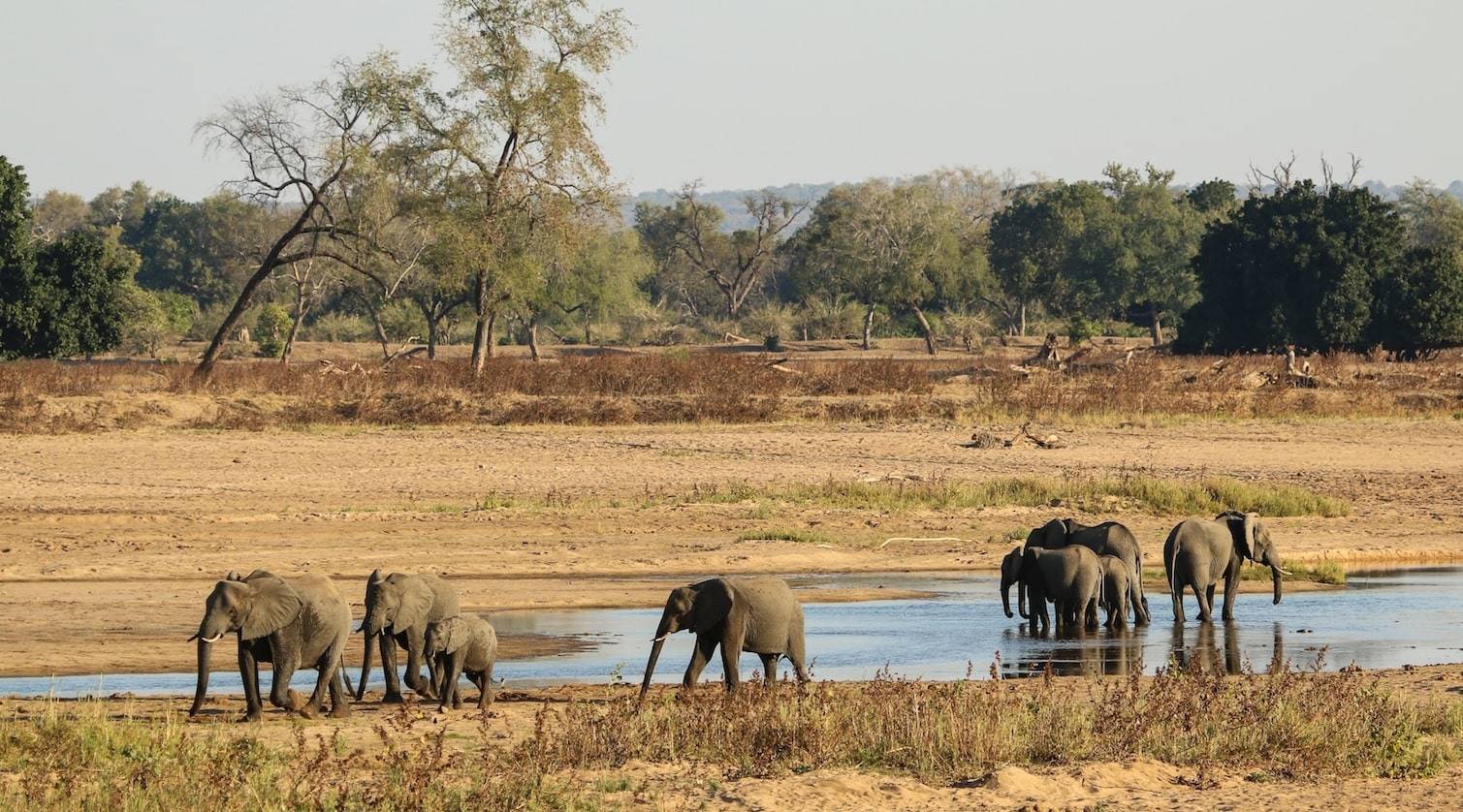 Chilo Tented Camp en Mahove en Gonarezhou National Park