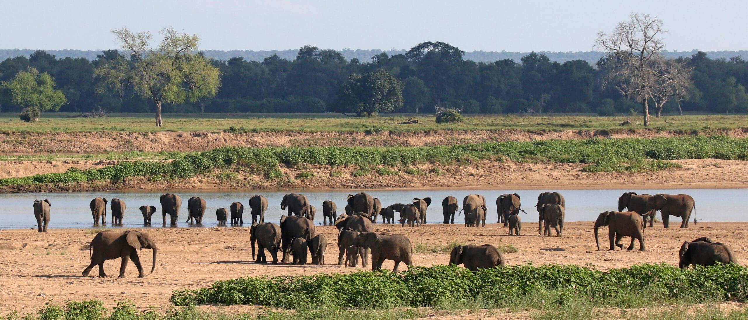 Chilo Tented Camp en Mahove en Gonarezhou National Park
