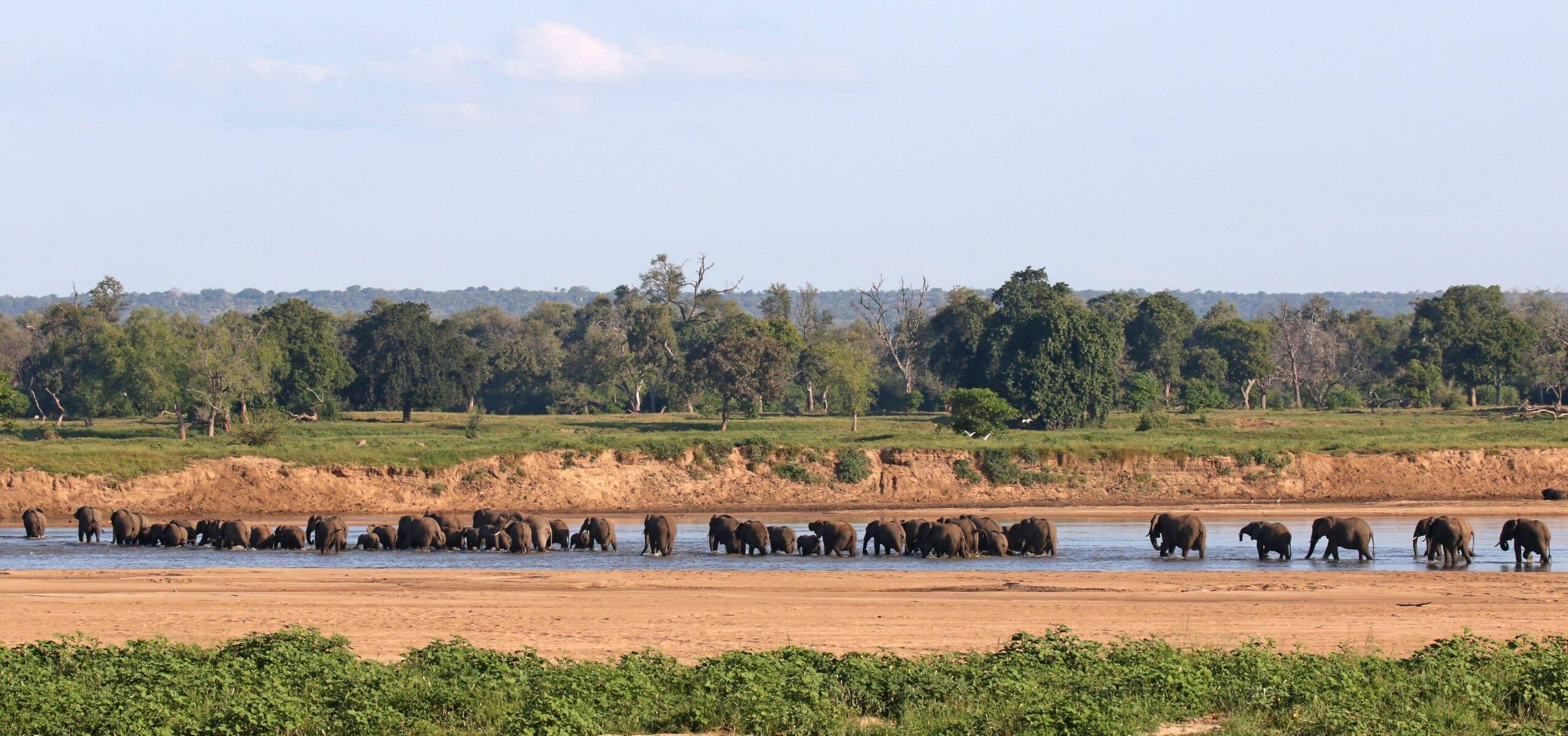 Chilo Tented Camp en Mahove en Gonarezhou National Park