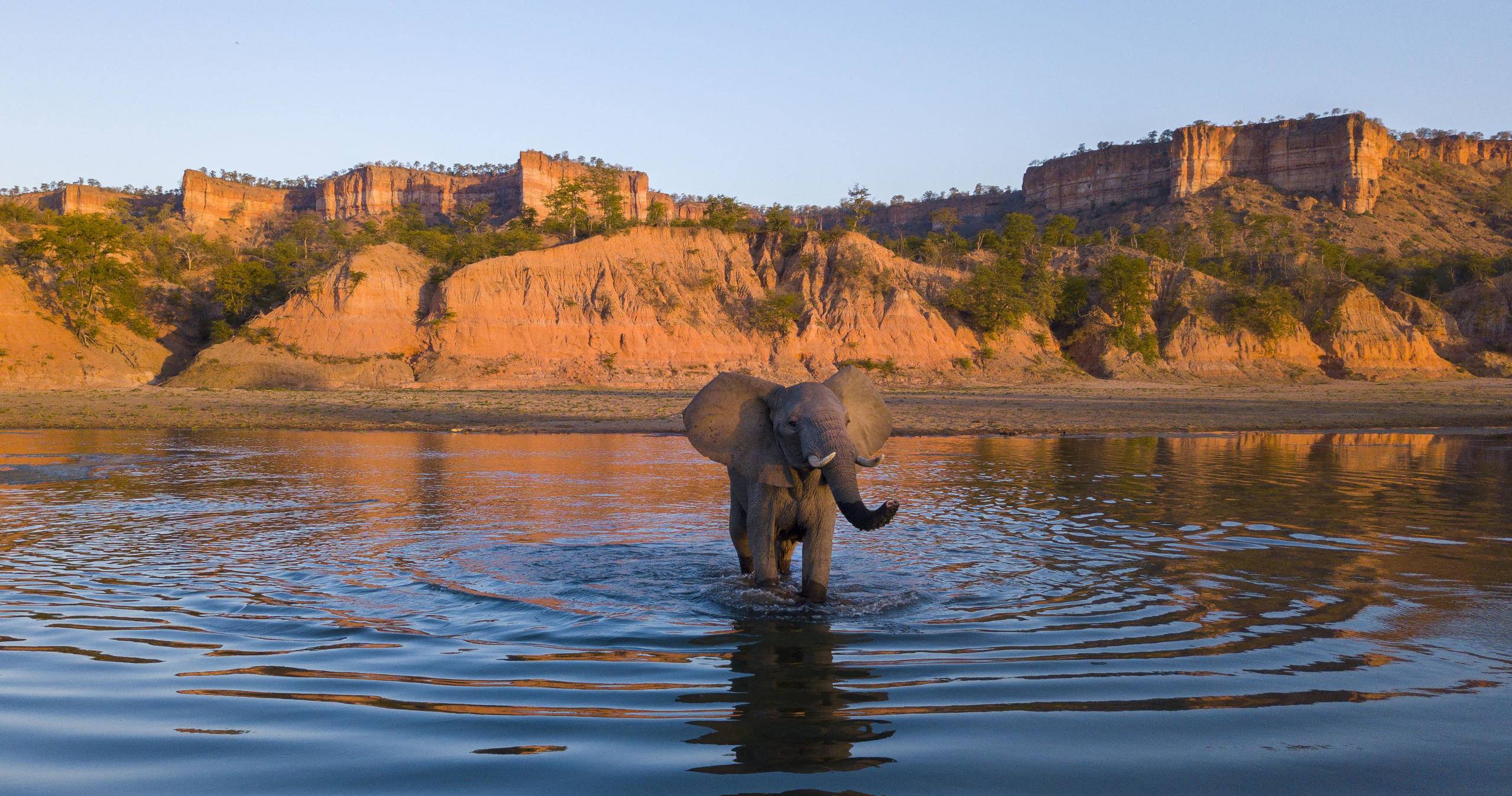 Gonarezhou National Park | LAT.40
