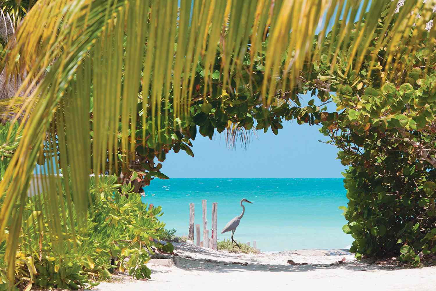 Holbox | LAT.40