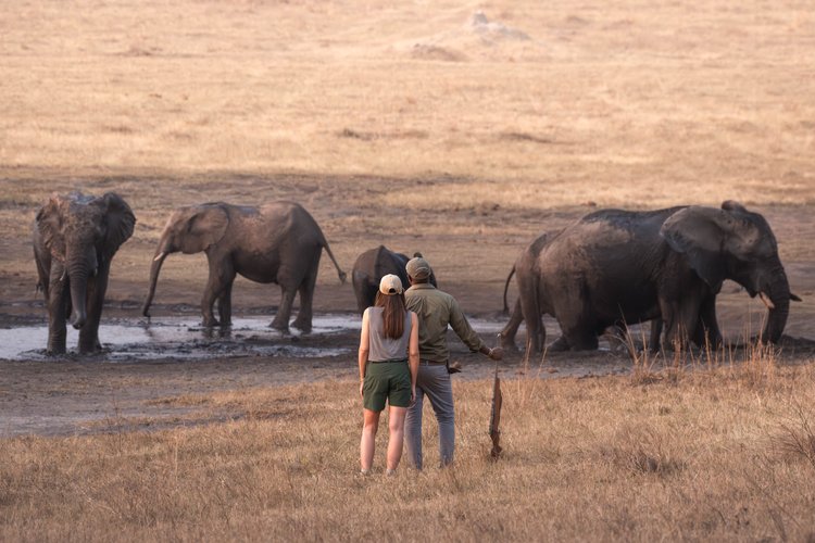 Ivory Safari Lodge en Hwange