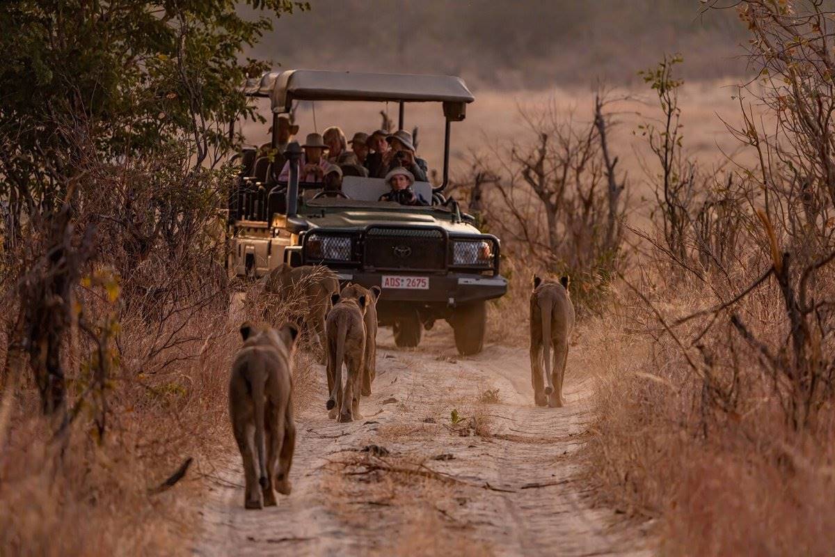 Exclusivo Dubai, Hwange, Victoria Falls y Mozambique diseñado por LAT.40