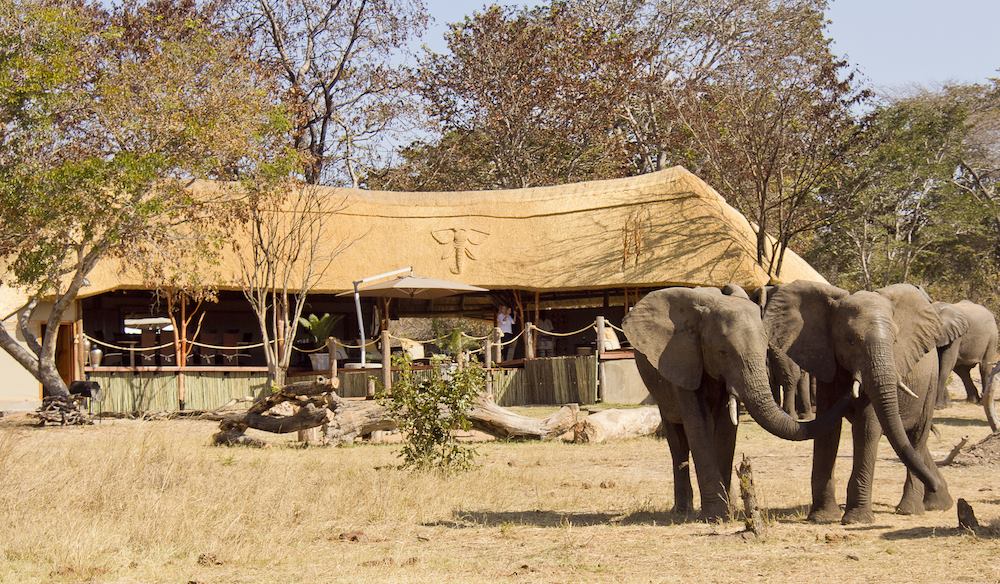 Exclusivo Dubai, Hwange, Victoria Falls y Zanzibar diseñado por LAT.40