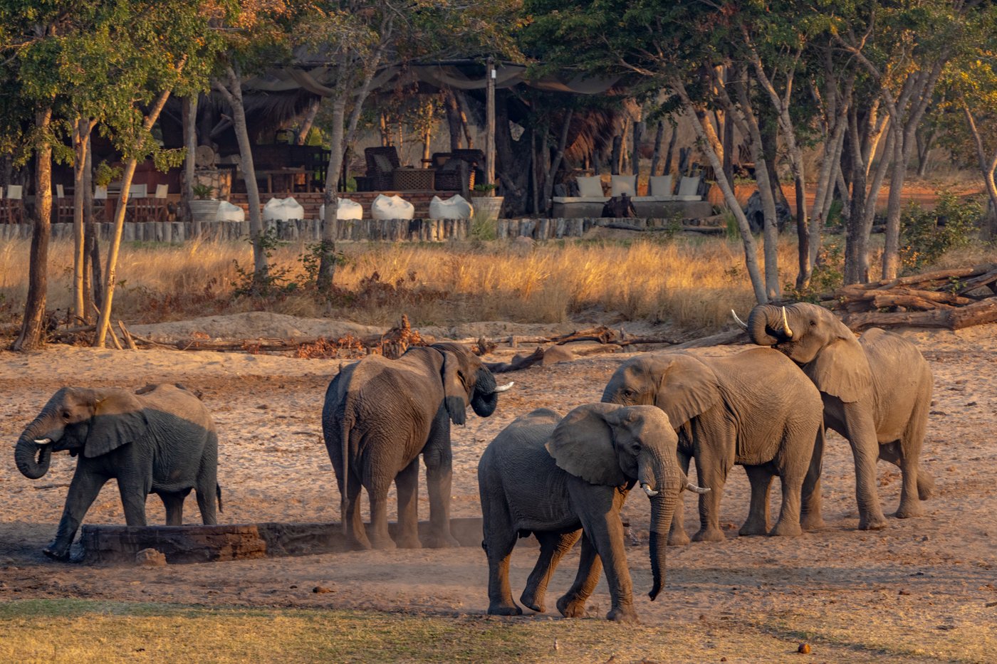 Hwange