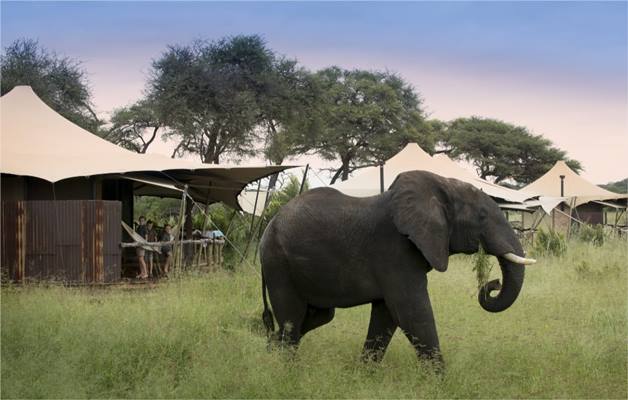 Somalisa Acacia Camp en Hwange