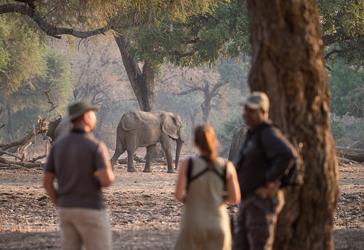 Somalisa Acacia Camp en Hwange
