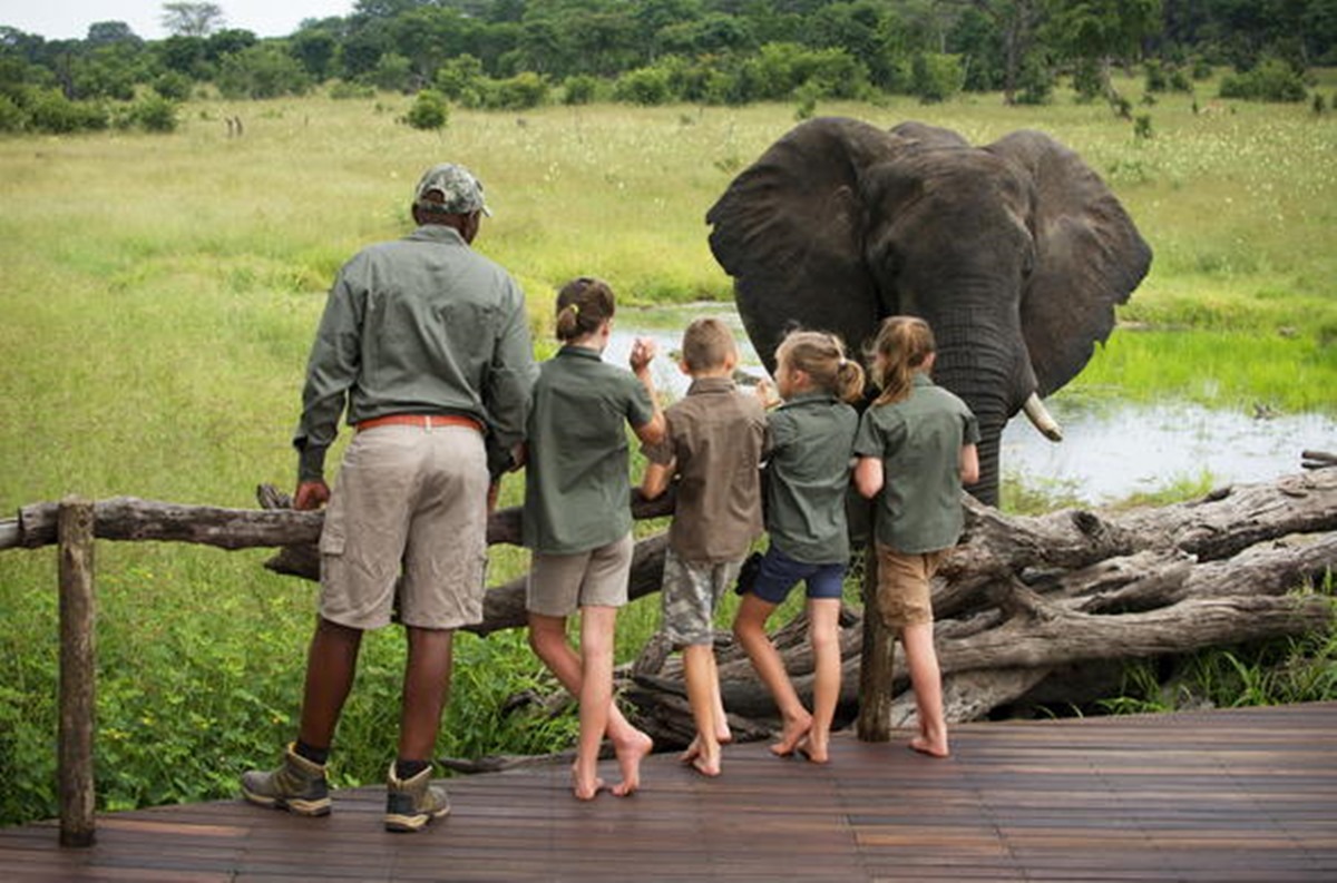 Somalisa Acacia Camp en Hwange