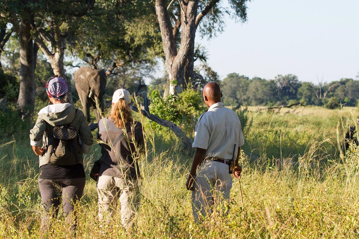 Somalisa Acacia Camp en Hwange