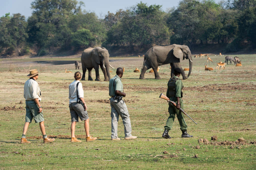 Somalisa Expeditions en Hwange