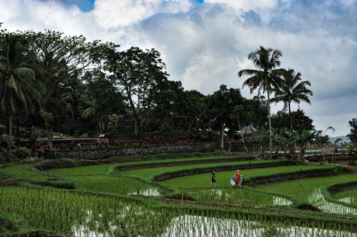 Ijen Resort and Villas - The Hidden Paradise en Java Oriental - Ijen