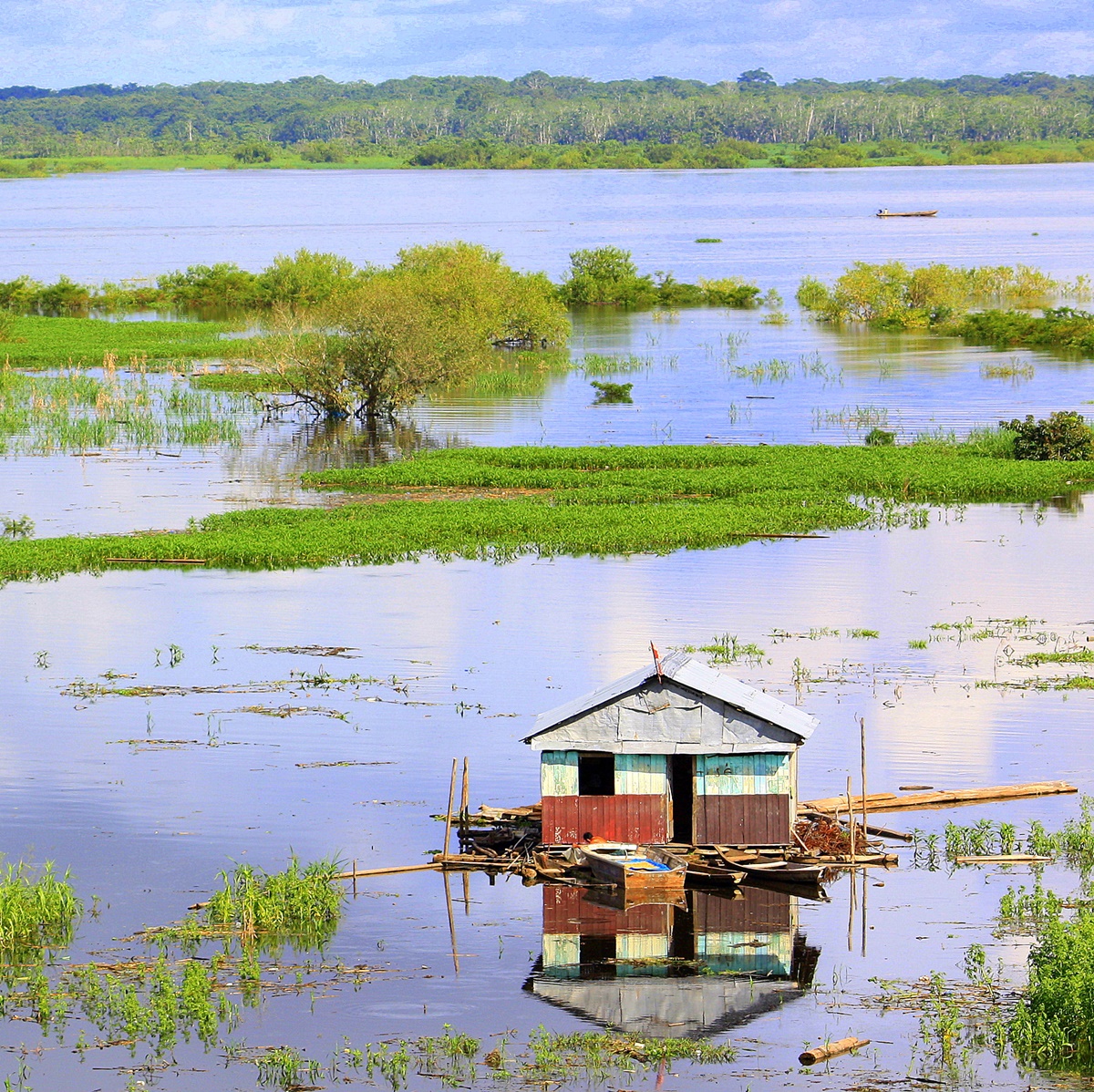 Iquitos | LAT.40
