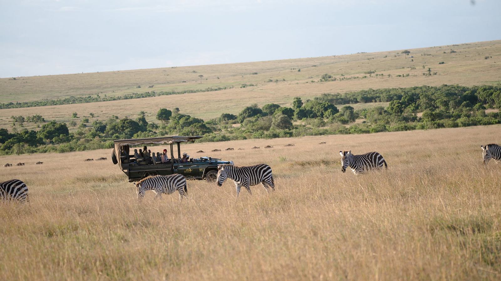 Ilkeliani Camp en Masai Mara