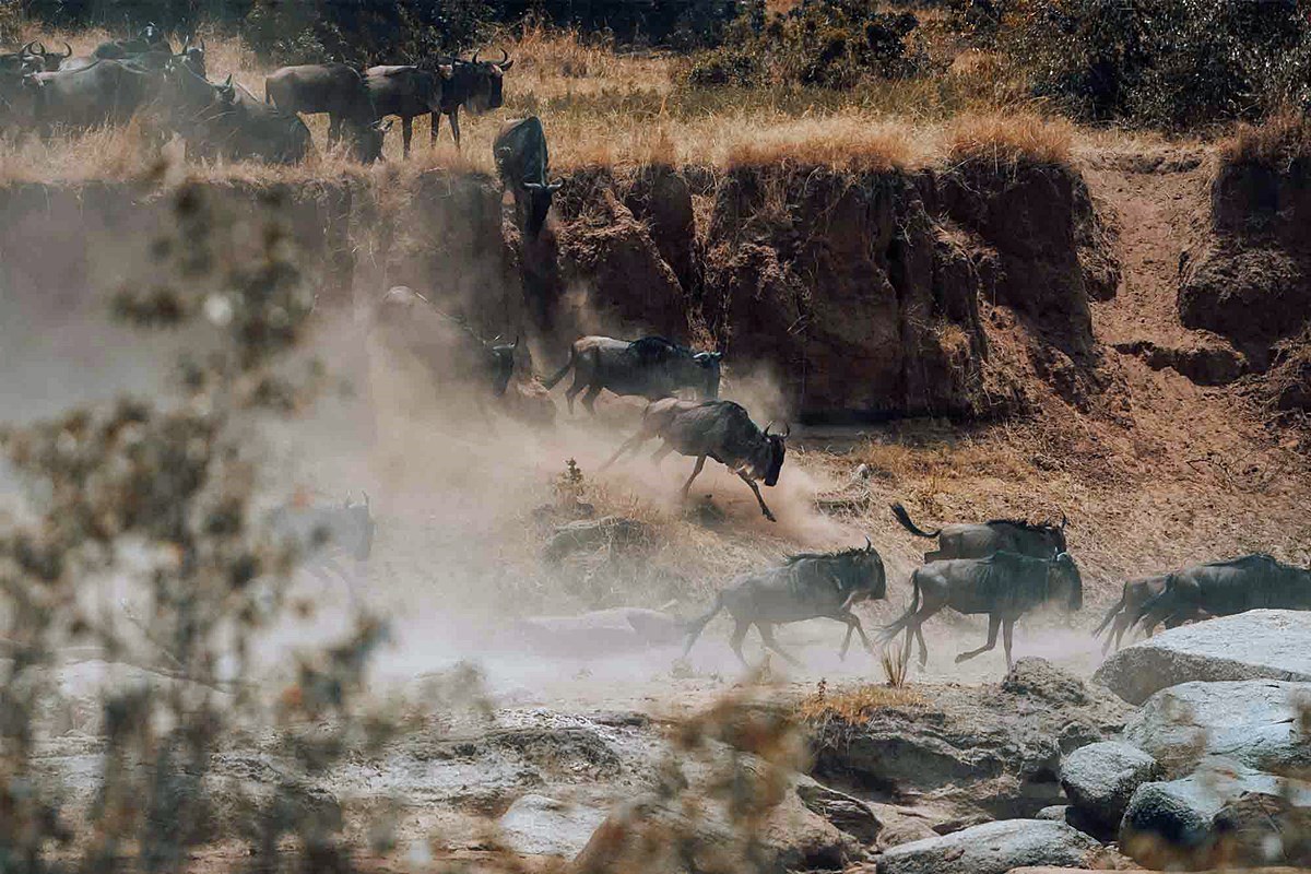 Nimali Mara en Masai Mara