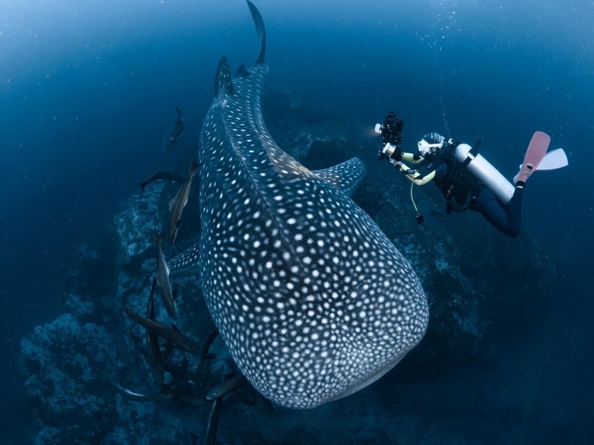 Irene Resort  en Koh Lipe