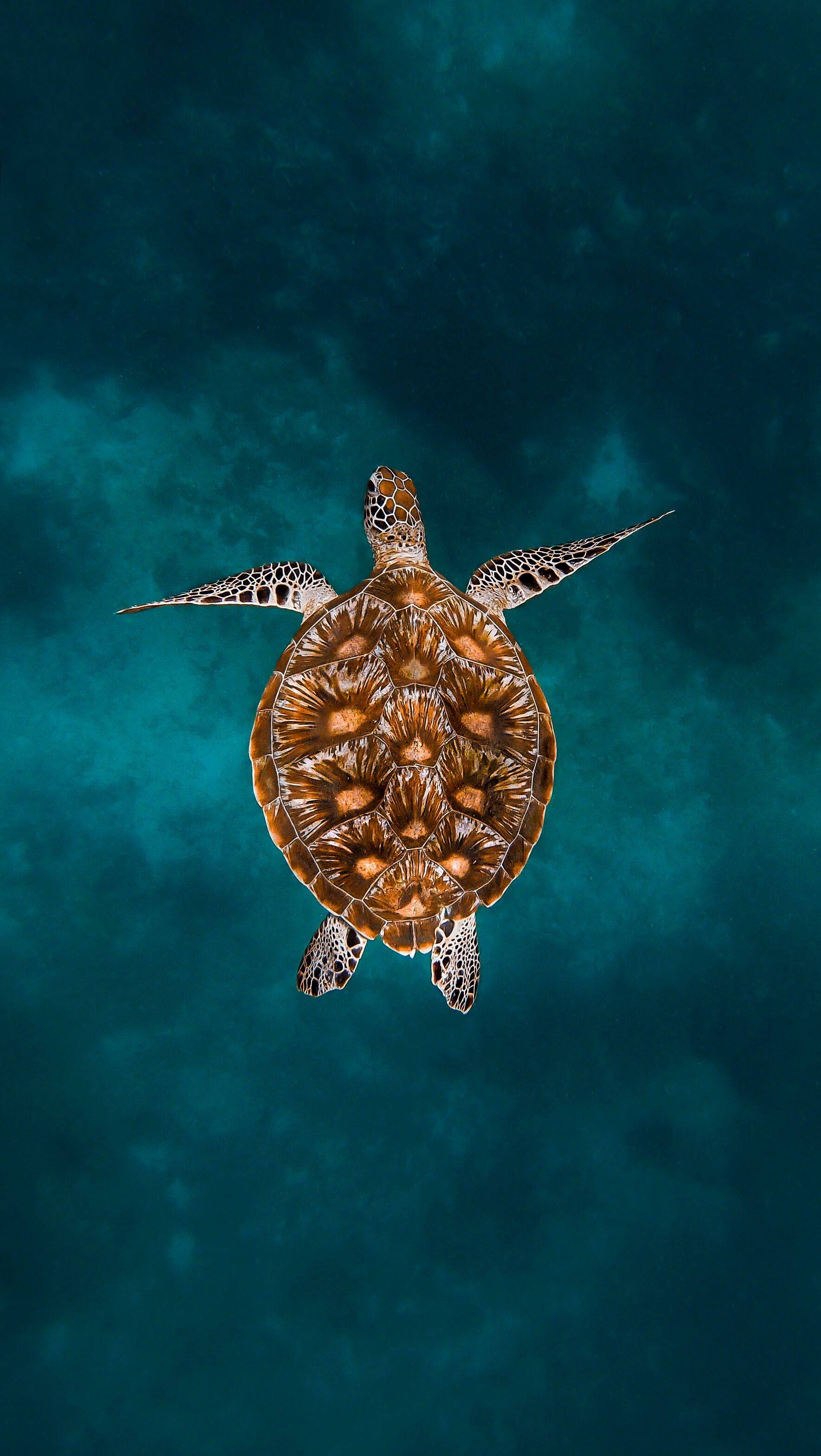 Menjaga Bay en Komodo