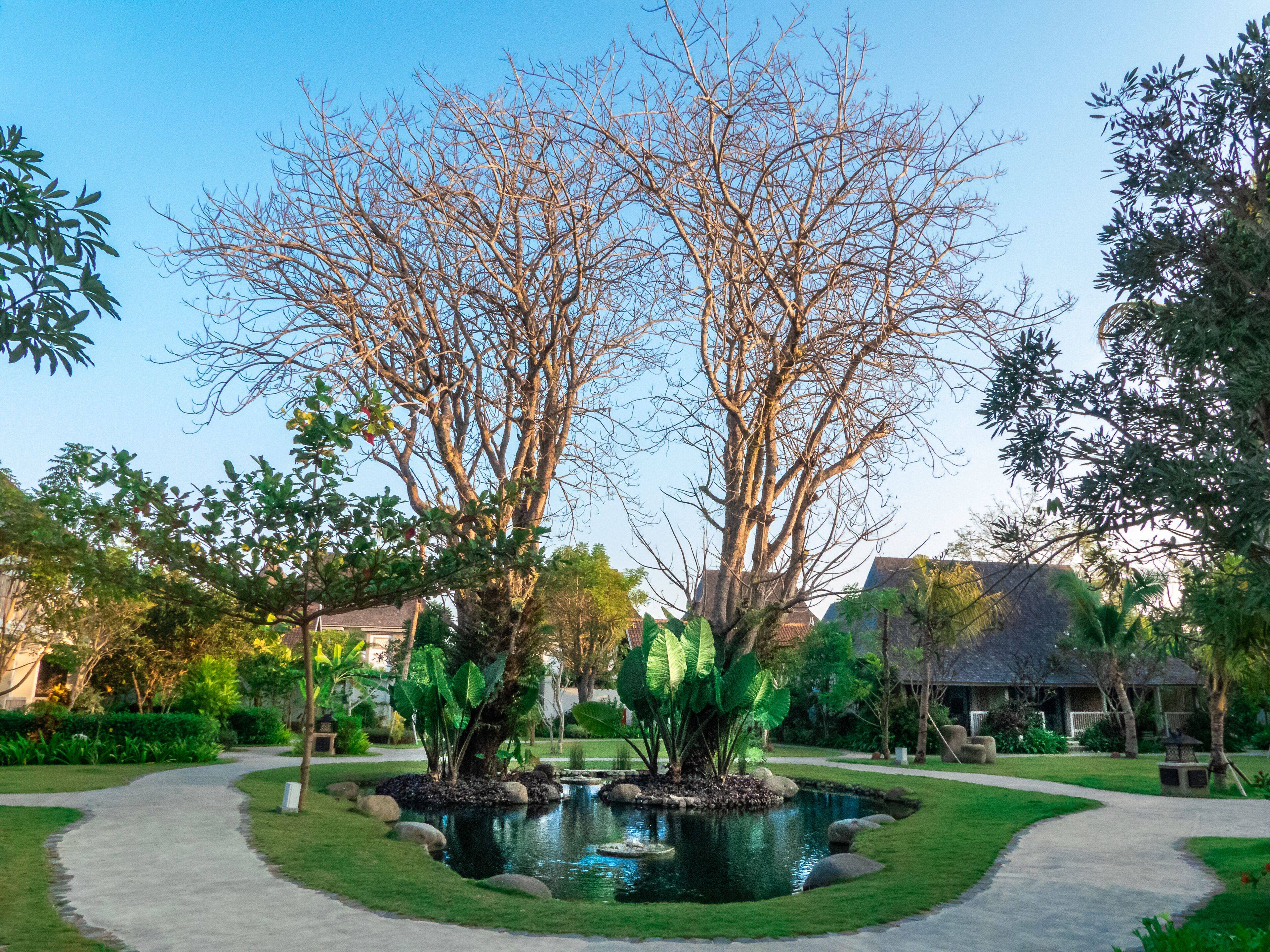 Sudamala Resort en Komodo