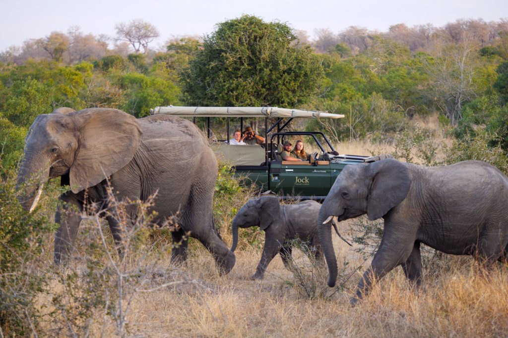 Jock Safari Lodge en Kruger National Park