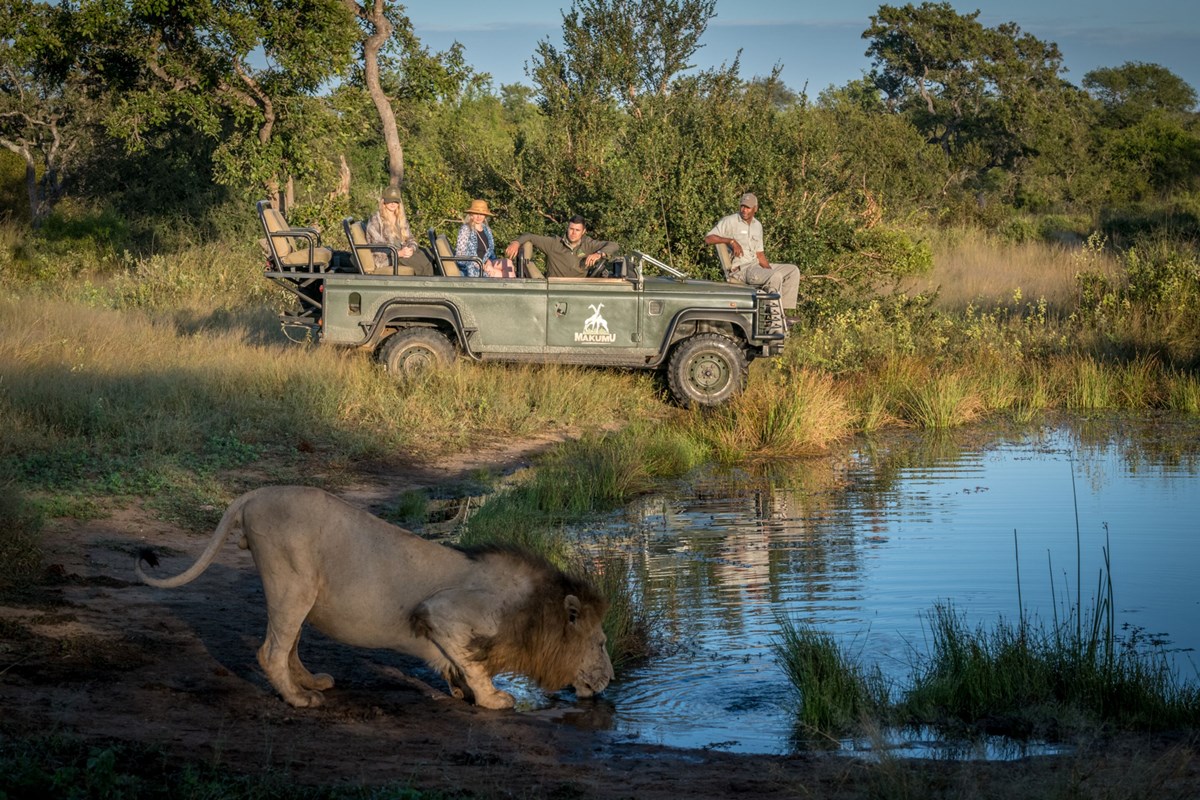 Makumu Private Game Lodge en Kruger National Park