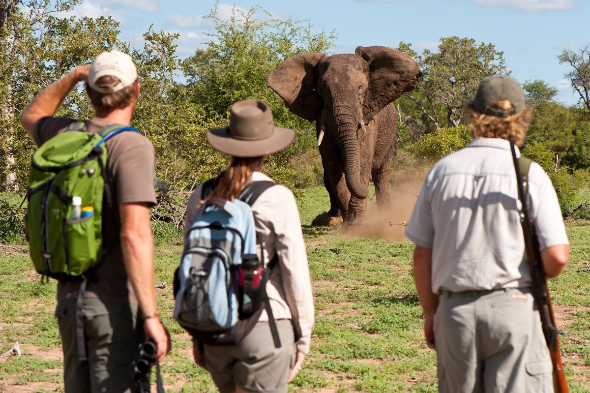 Makumu Private Game Lodge en Kruger National Park