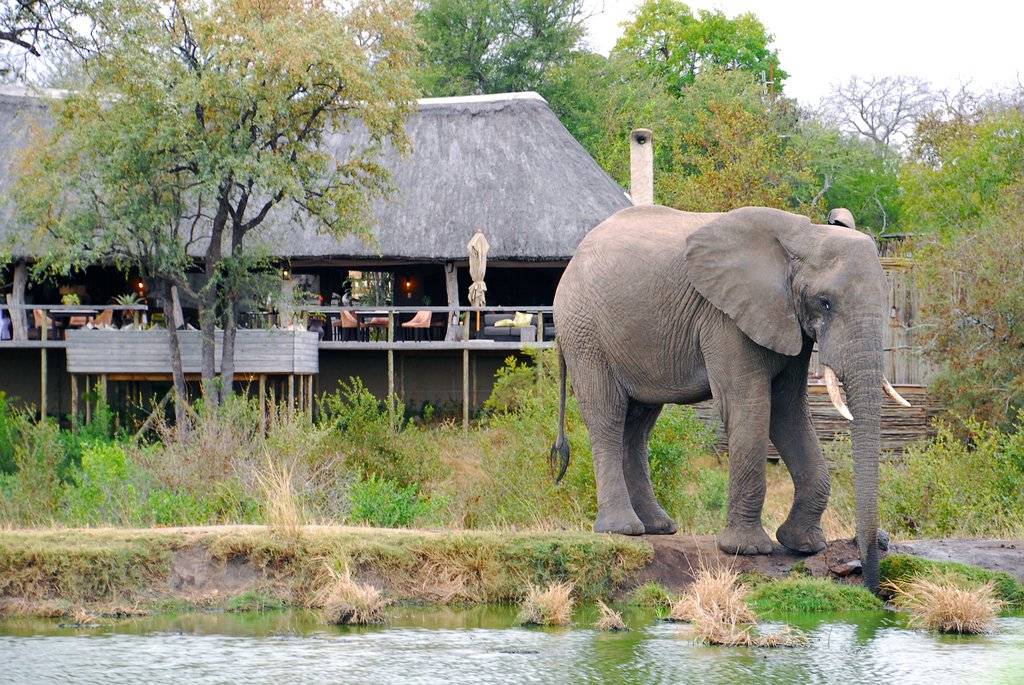 Simbambili Game Lodge en Kruger National Park