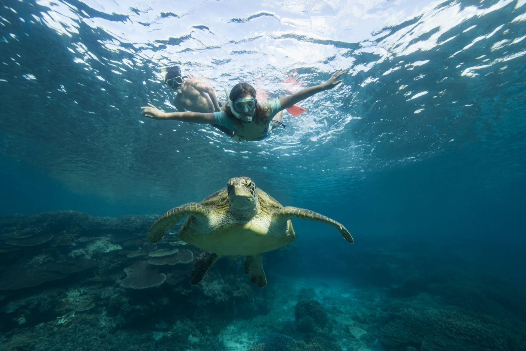 Lady Elliot Island Eco Resort en Australia