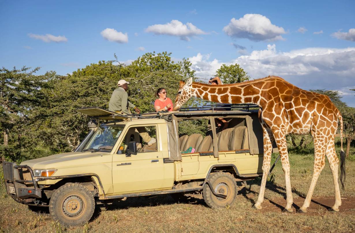 Ekorian's Mugie Camp en Laikipia 