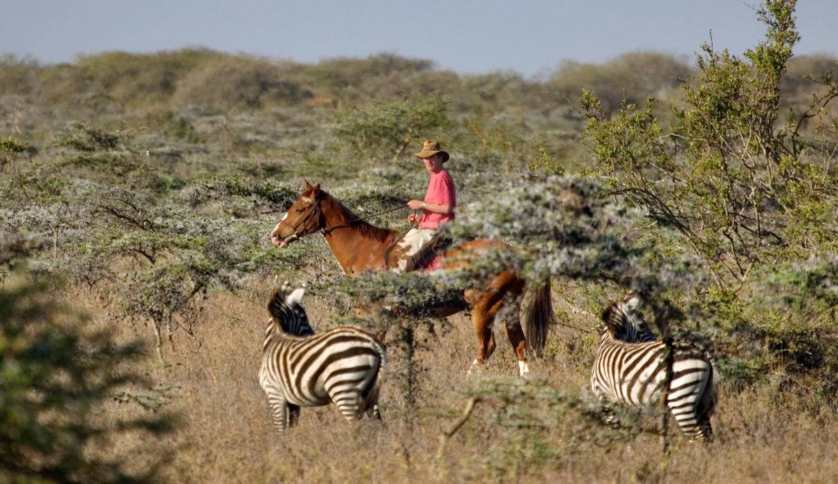 Safari Kenia (6D) y Bawe Island diseñado por LAT.40