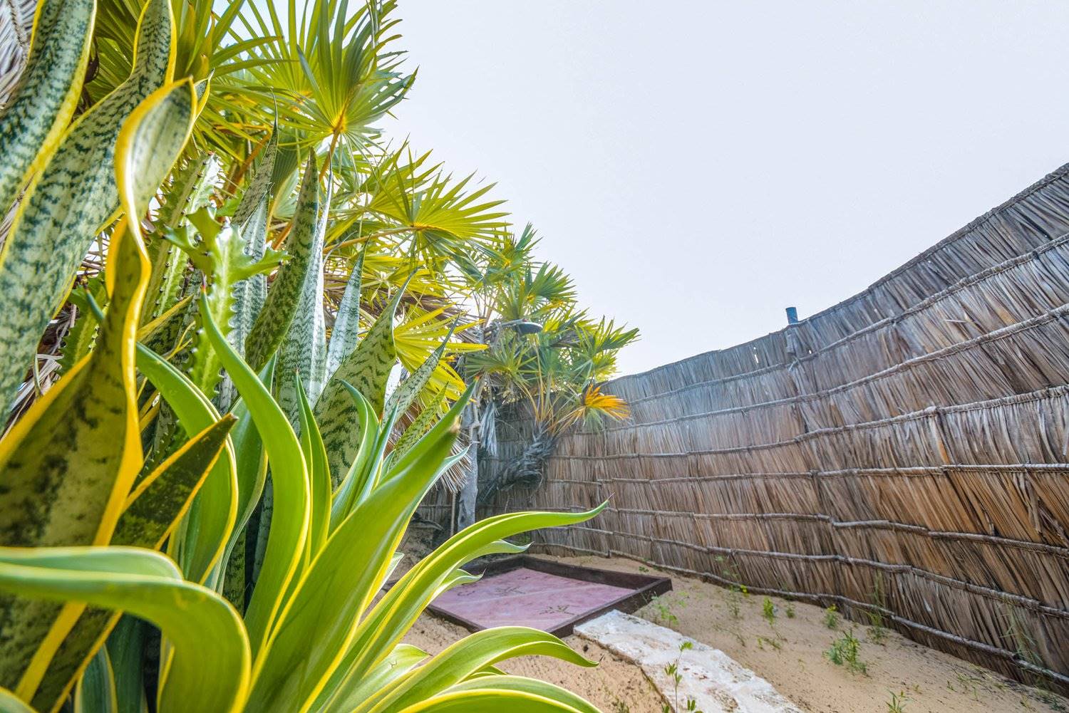 Kizingo en Lamu