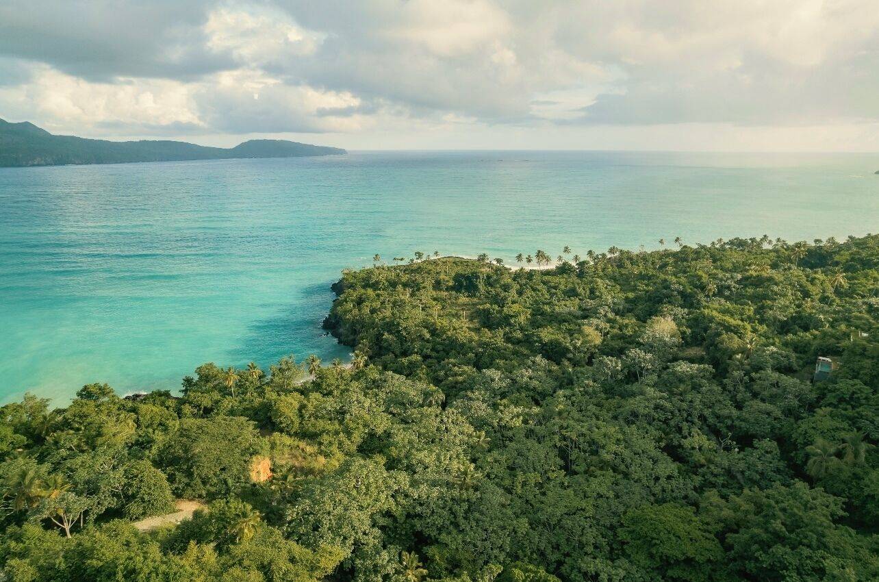 Ocama en Las Galeras