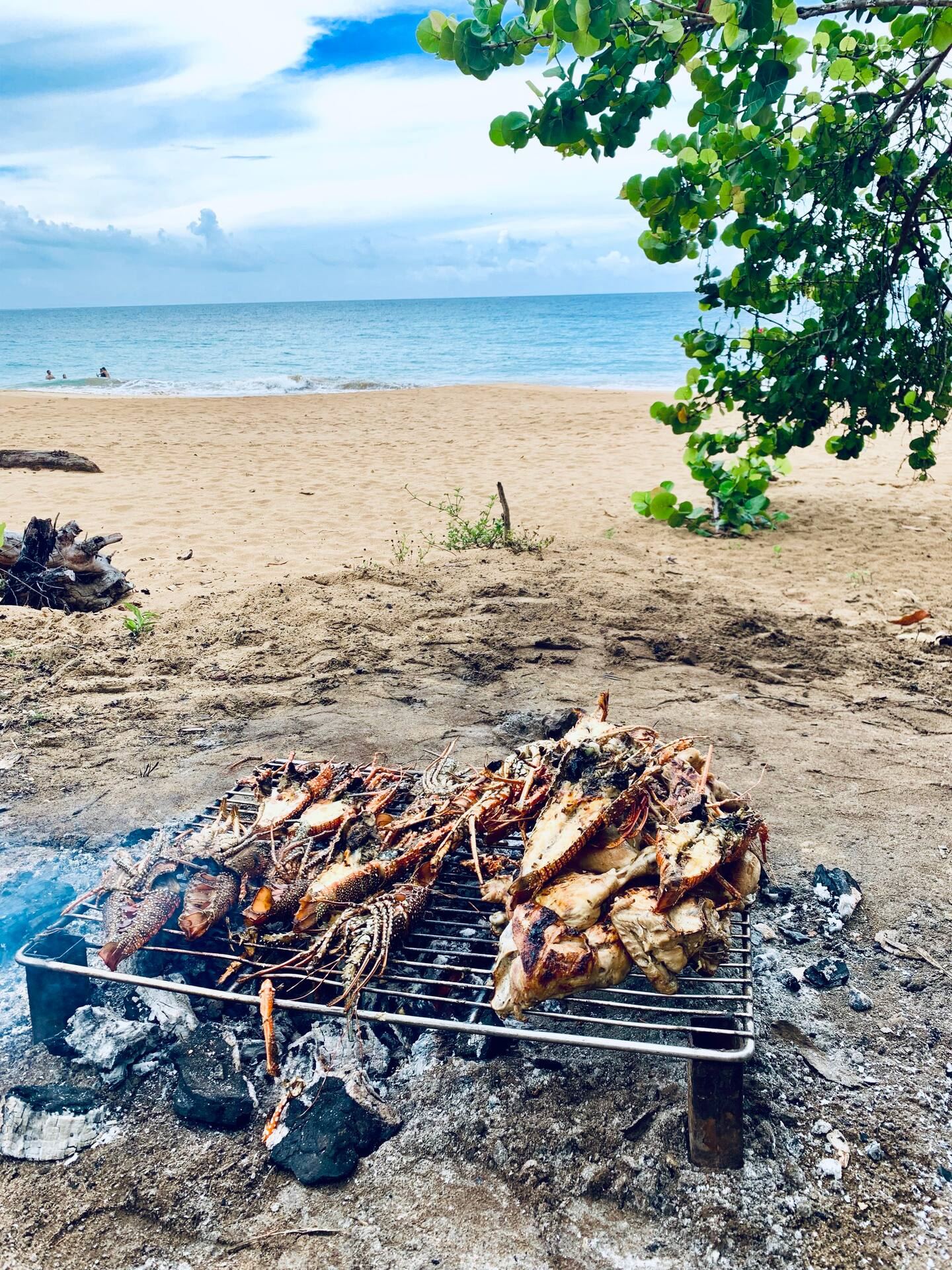 Villa Beachfront en Las Terrenas