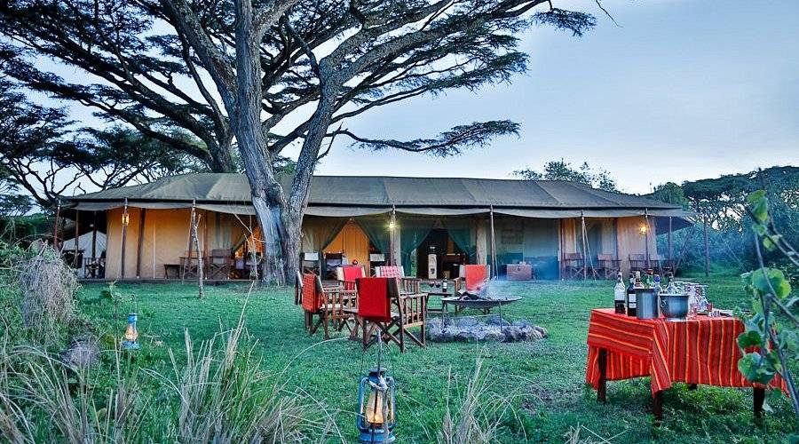 Lemala Ngorongoro Tented Camp  en Ngorongoro
