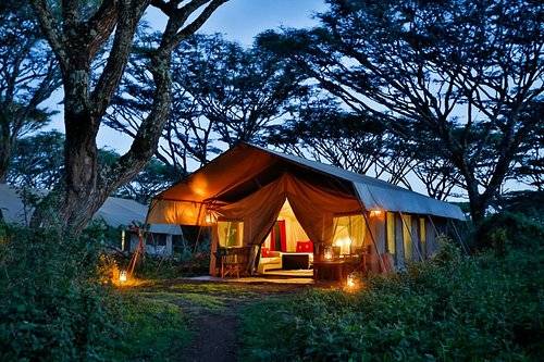 Lemala Ngorongoro Tented Camp  en Ngorongoro