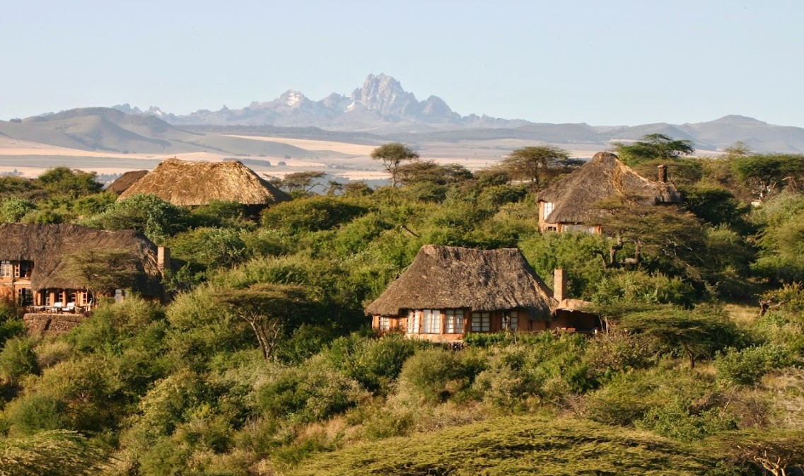 Lewa