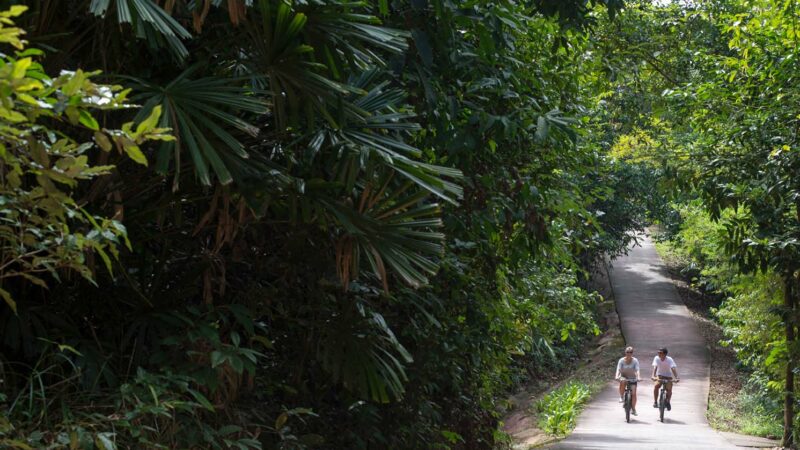 Imagen de viaje LAT.40