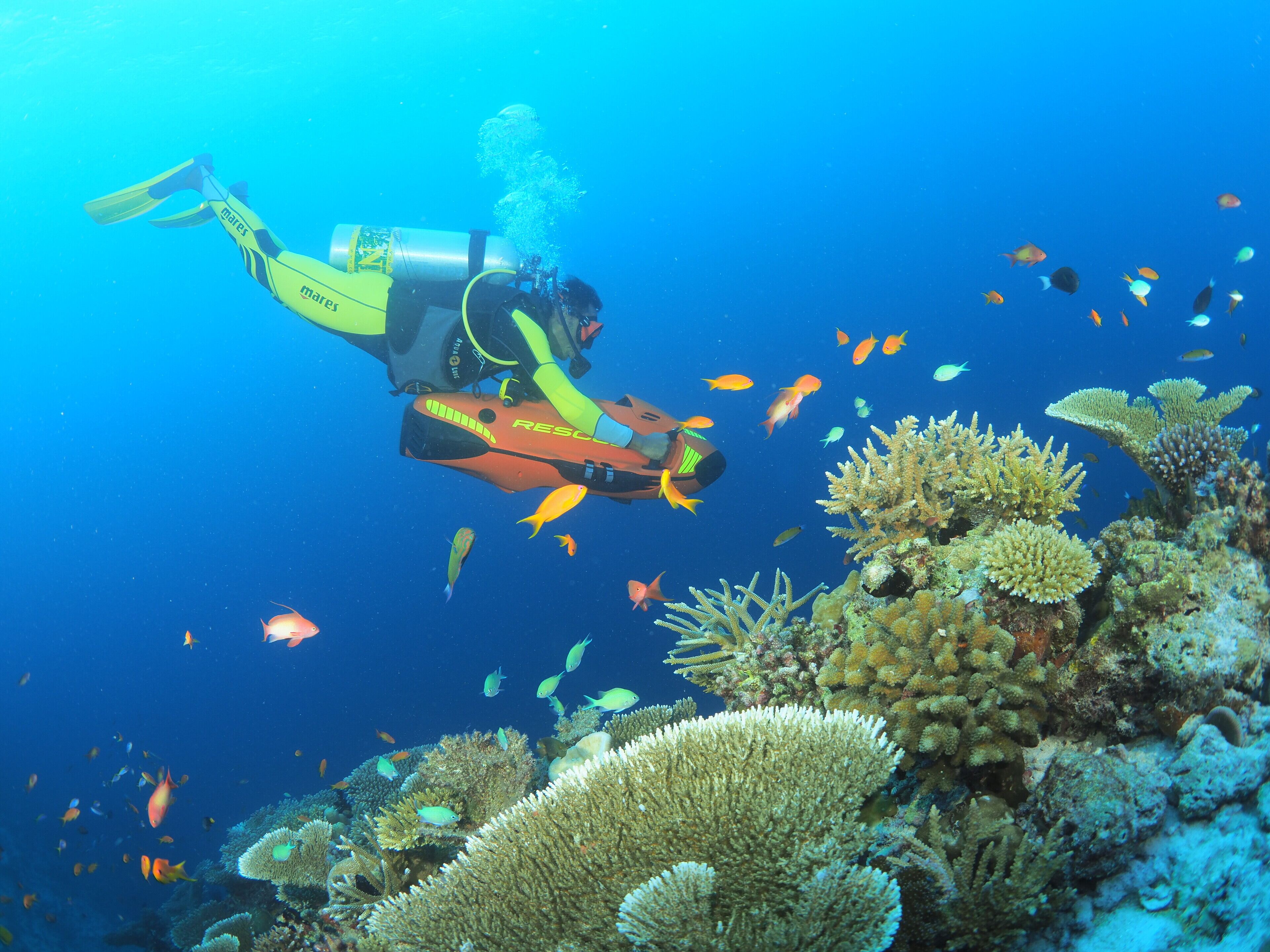 You & Me by Cocoon Maldives en Raa Atoll