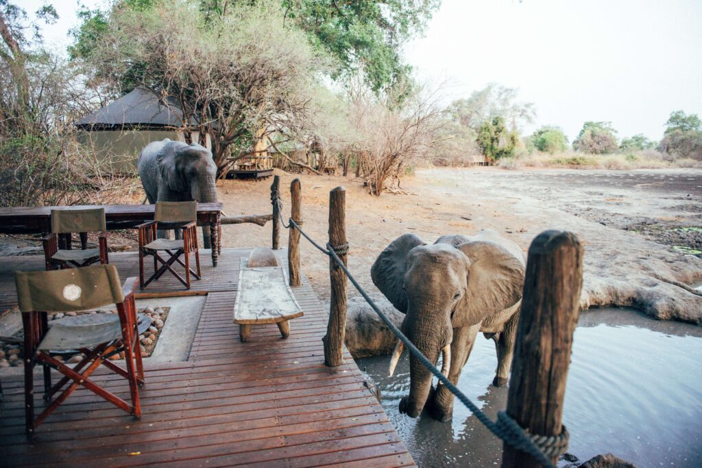 Kanga Expeditions en su destino