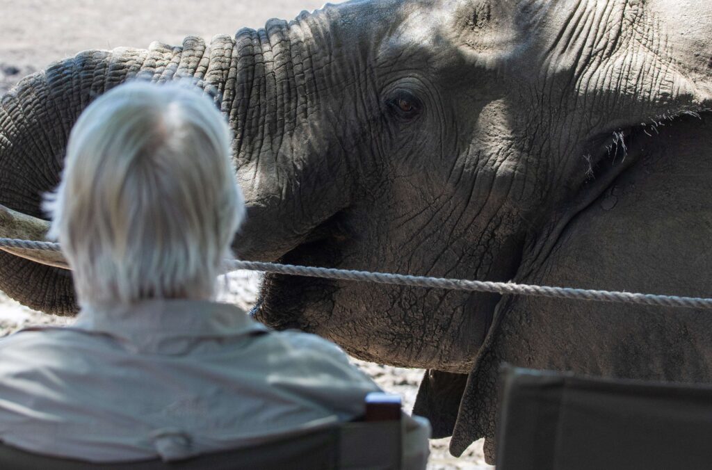 Kanga Expeditions en Mana Pools