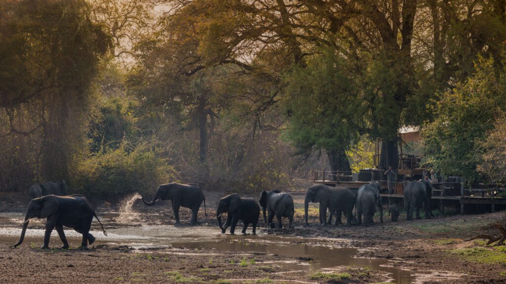 Kanga Expeditions en Mana Pools