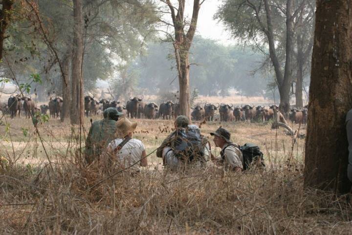 Mana Pools
