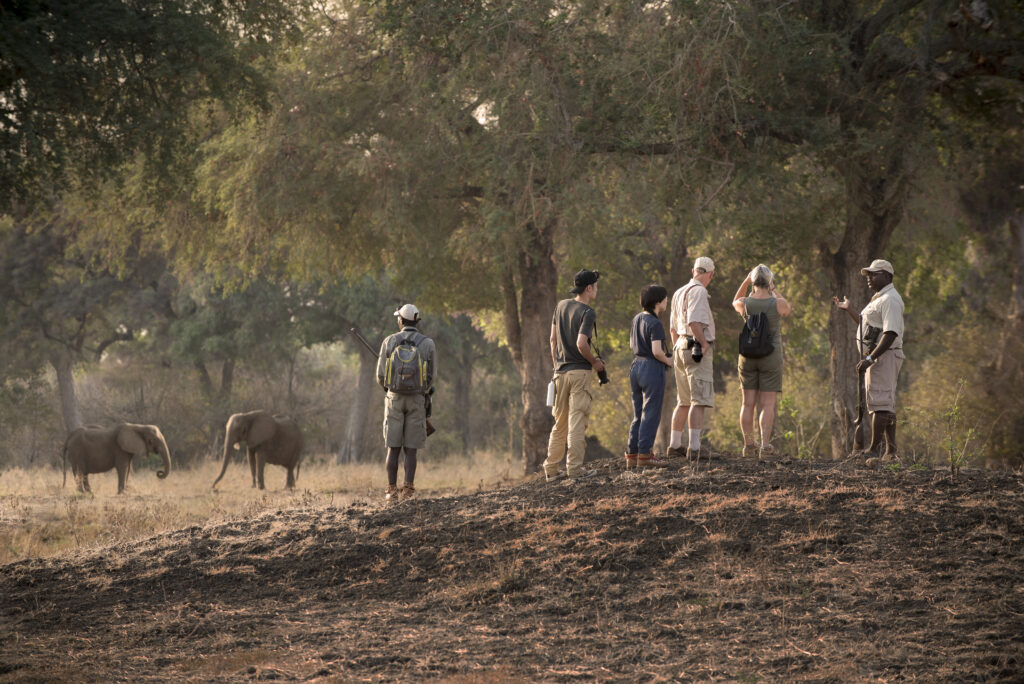 Zambezi Expeditions en Mana Pools
