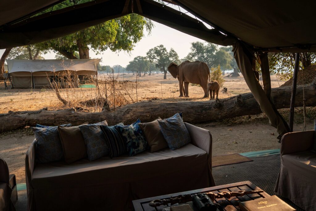 Zambezi Expeditions en Mana Pools