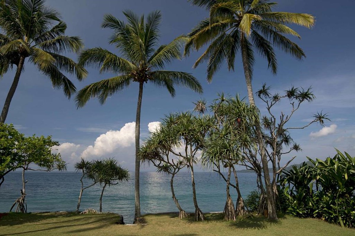 Alila Manggis  en Manggis