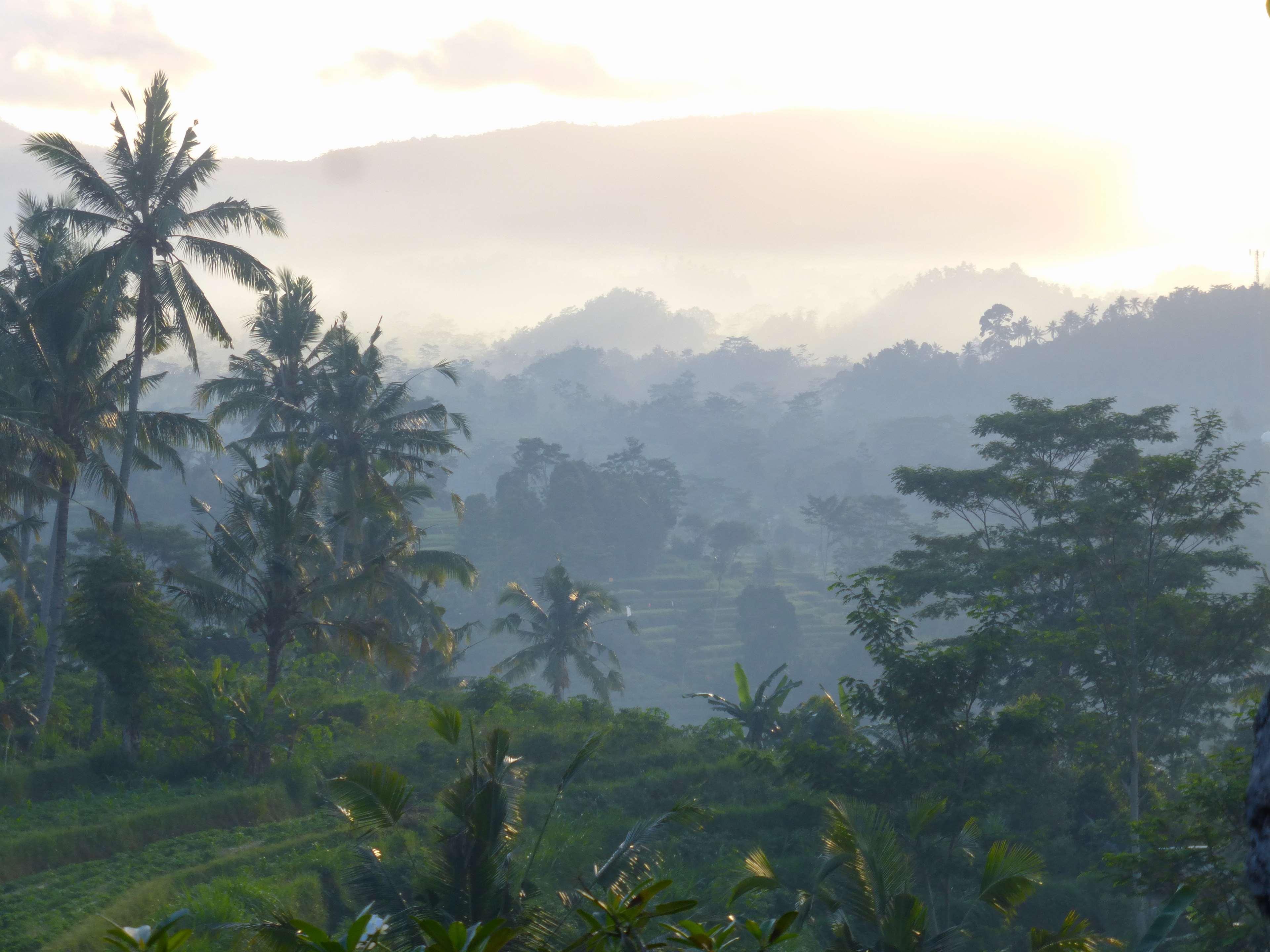 Alila Manggis  en Manggis