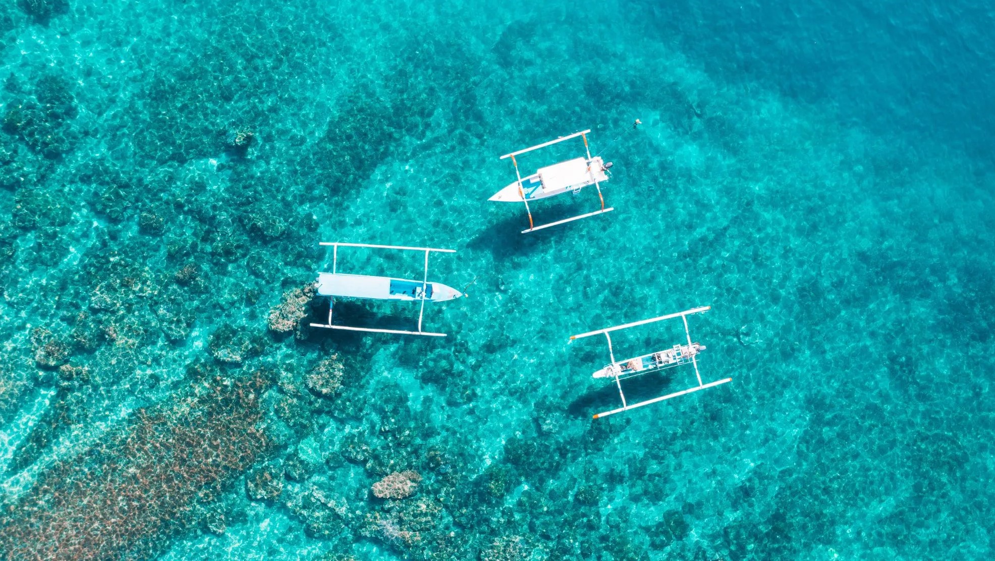Alila Manggis  en Manggis