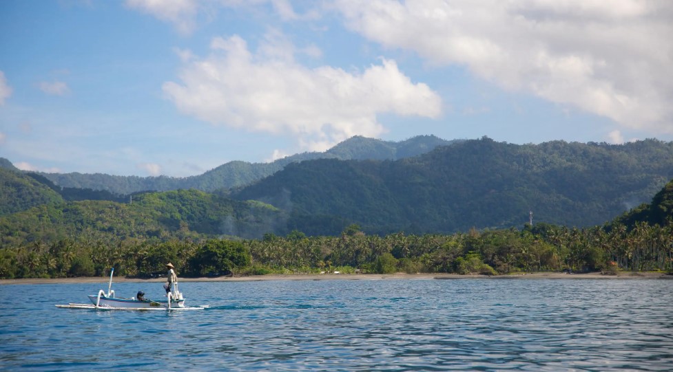 Alila Manggis  en Manggis