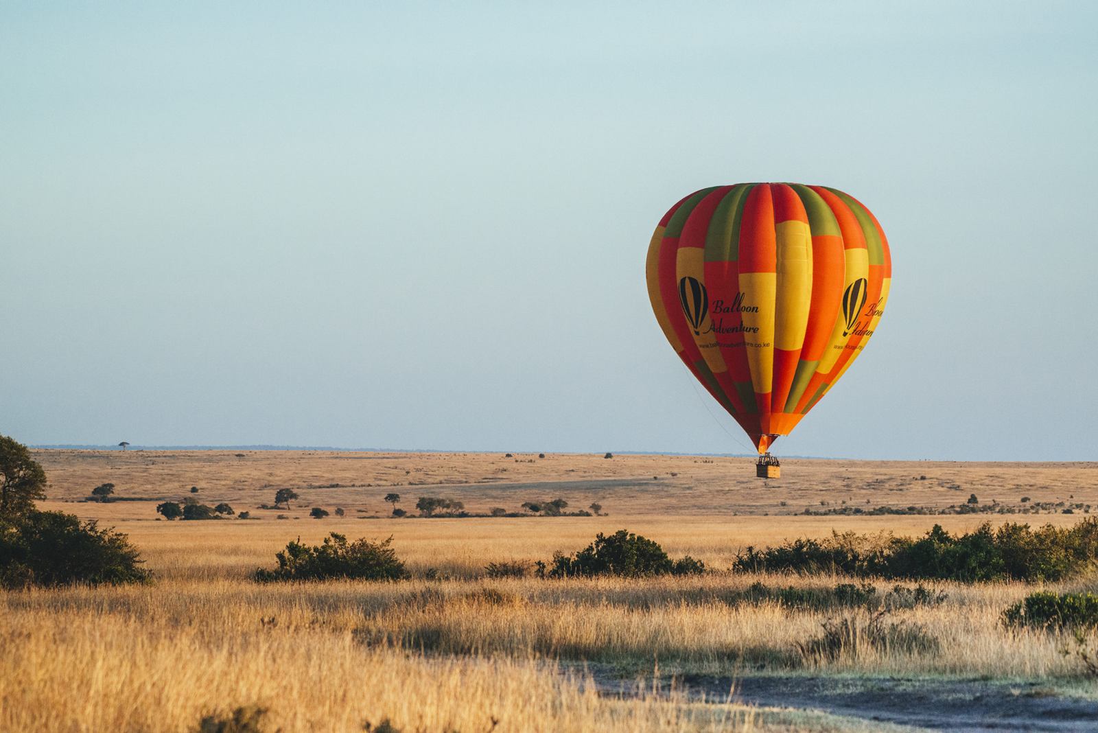 Enkewa  en Masai Mara